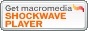 Shockwave Player̃_E[h