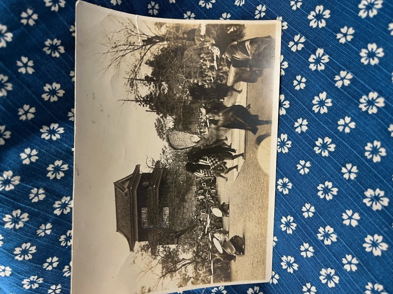 小坂篤子さん提供 資料