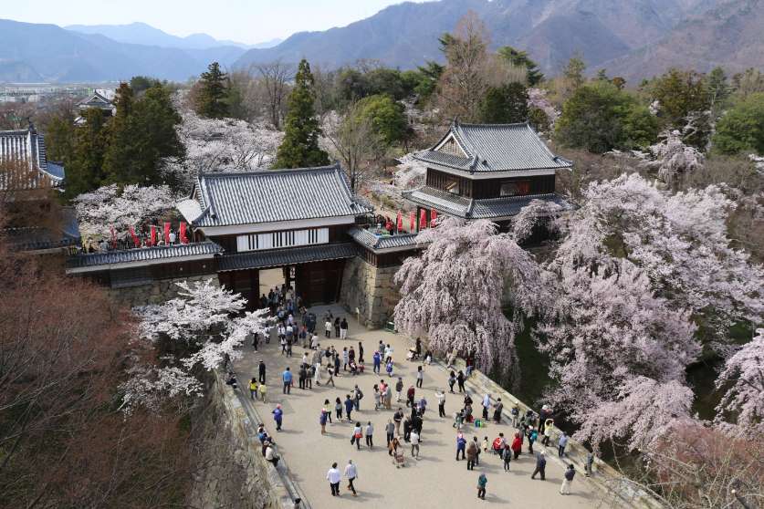 上田城と桜